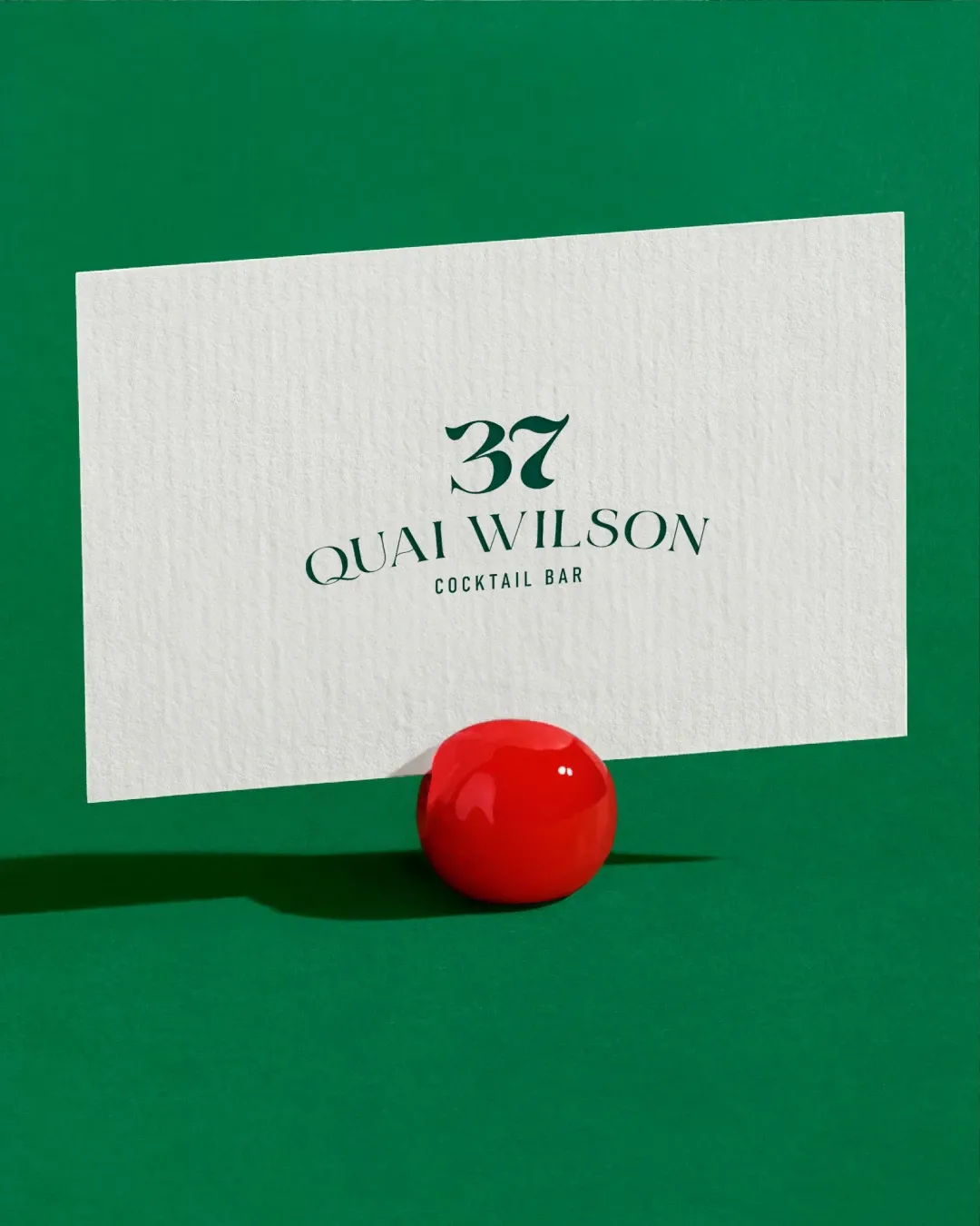 37 QUAI WILSON